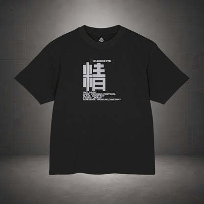 STEPYXIS Q1-06 Precision Protocol Garment-Dyed Heavy Tee